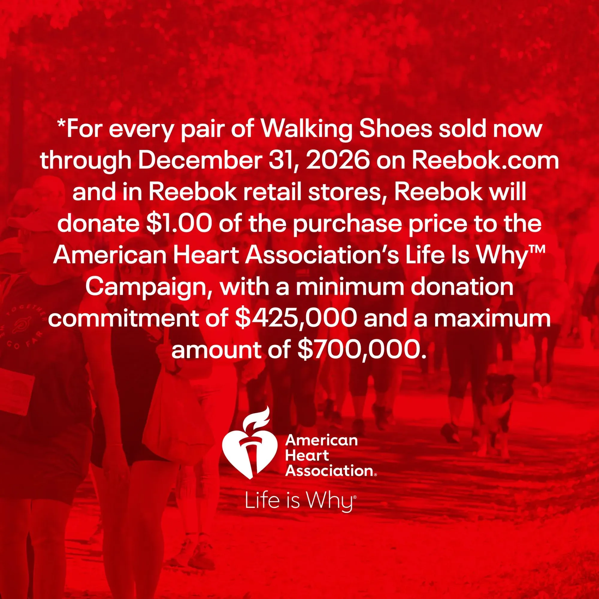 DMX Comfort  Women's Walking Shoes